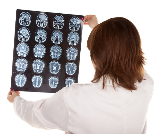 doctor looking dog -x-ray isolated